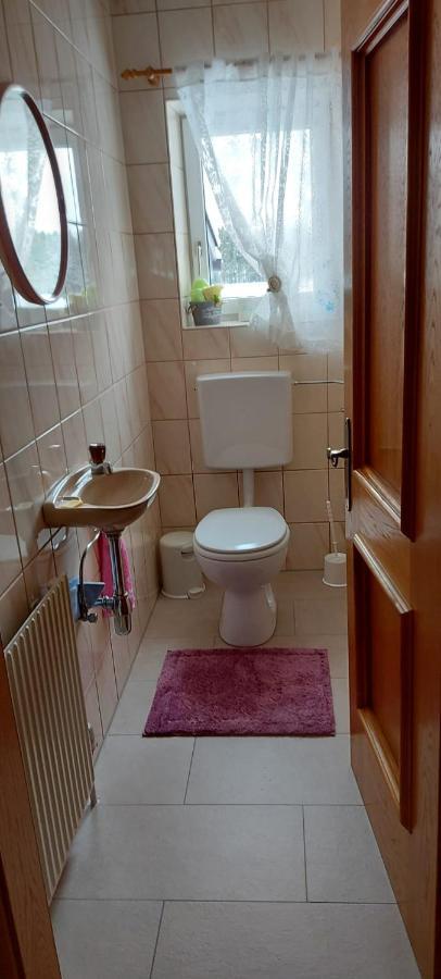 Ferienwohnung Seeberg Mit Almfeeling 파이스테나우 외부 사진